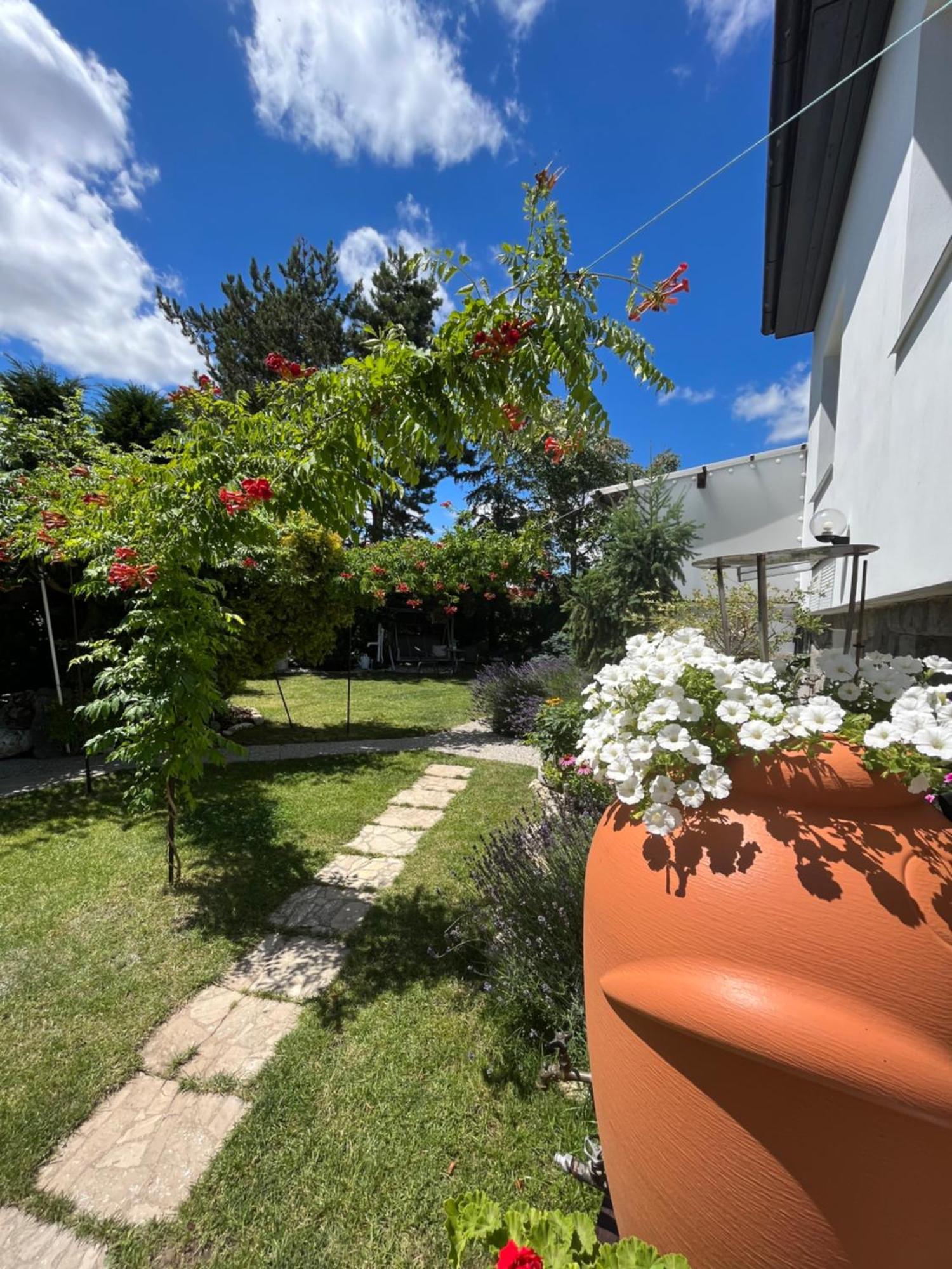 Relaxační studio VERA s UBYTOVÁNÍM Valtice Esterno foto