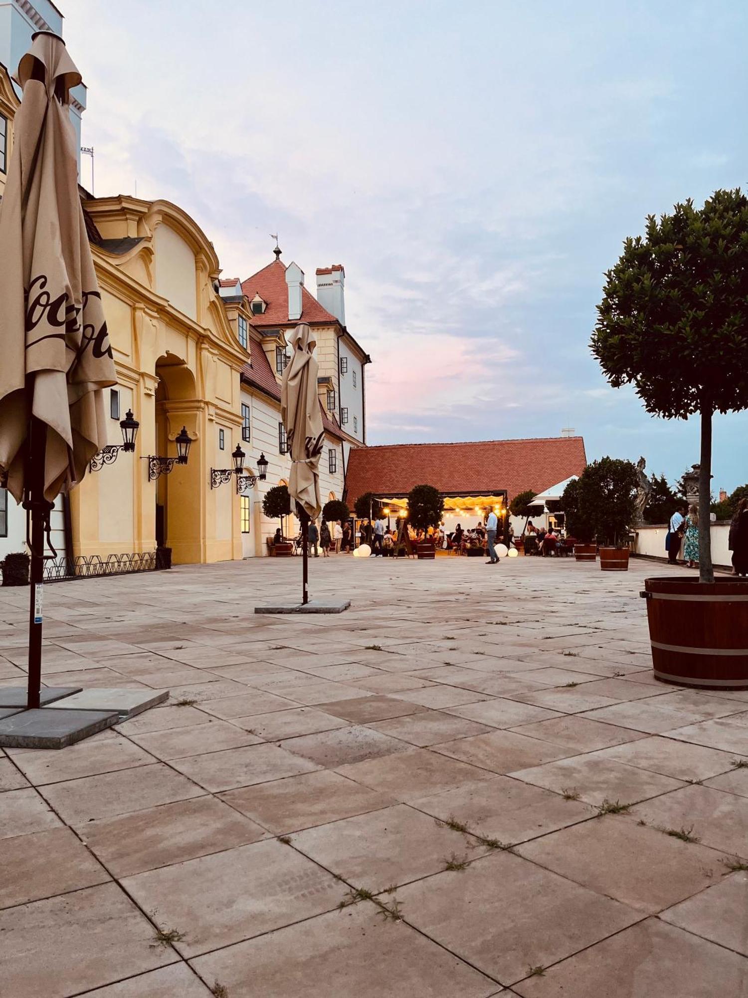 Relaxační studio VERA s UBYTOVÁNÍM Valtice Esterno foto