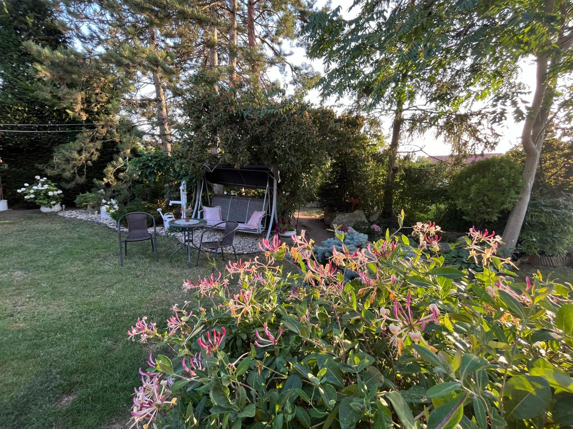 Relaxační studio VERA s UBYTOVÁNÍM Valtice Esterno foto