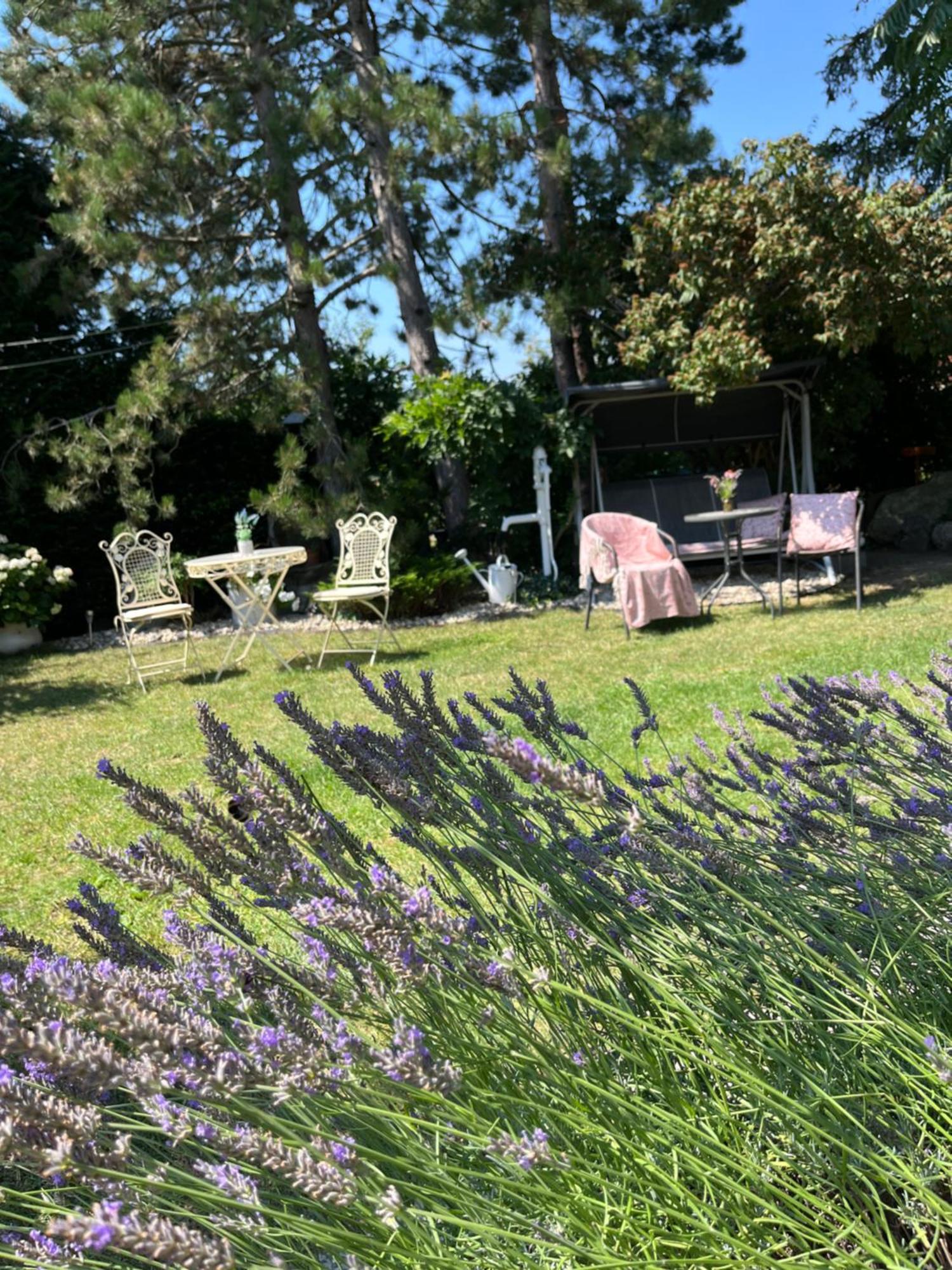Relaxační studio VERA s UBYTOVÁNÍM Valtice Esterno foto